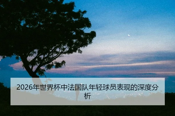 nian-shi-jie-bei-zhong-fa-guo-dui-nian-qing-qiu-yuan-biao-xian-de-shen-du-fen-xi-2-627.jpg