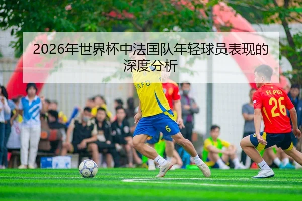 2026年世界杯中法国队年轻球员表现的深度分析